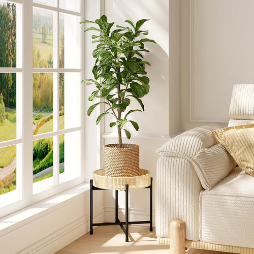 Bamworld Rattan Plant Stand Indoor Boho Plant Table for Large Plants Single Plant Stool Plant Holder for Living Room Bedroom