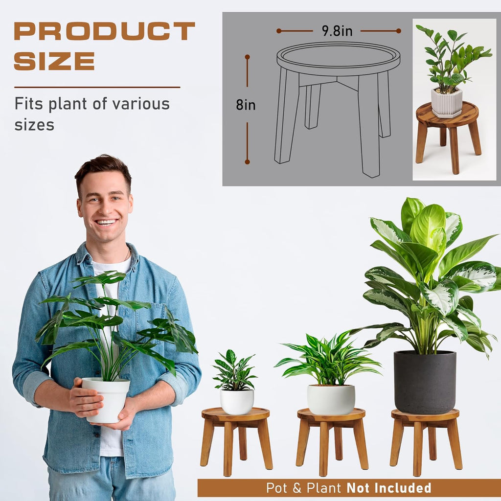 Demigo Indoor Plant Stand, Acacia Wooden Decorative Plant Shelf with Spill-Proof Tray, Stable 8” Tall Flower Holder for Heavy Pots, Gardening Display for Decor Living Room Patio - Natural Brown